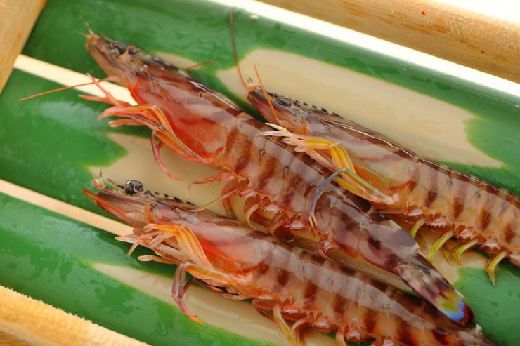Cuisine