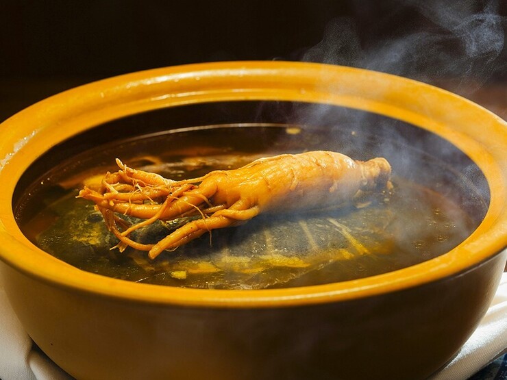 Cuisine