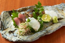 Ebisu Kichinoza_Natural sashimi from Amakusa, Kumamoto Prefecture and all over Japan