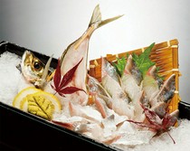 Seafood Restaurant Zauo Main Store_Horse mackerel sashimi