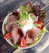 IKKYU 19HITOYASUMI Takaoka Toide branch_Roast Beef Bowl