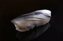 Sushi Minato_Gizzard shad