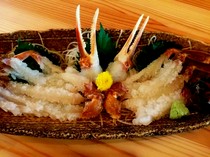  活松针单菜【11月7日至3月底供应】 