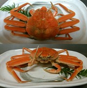  水煮螃蟹【11月7日至1月中旬供应】 