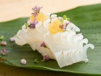 Kobe Kitano Sow_Squid, Shiso