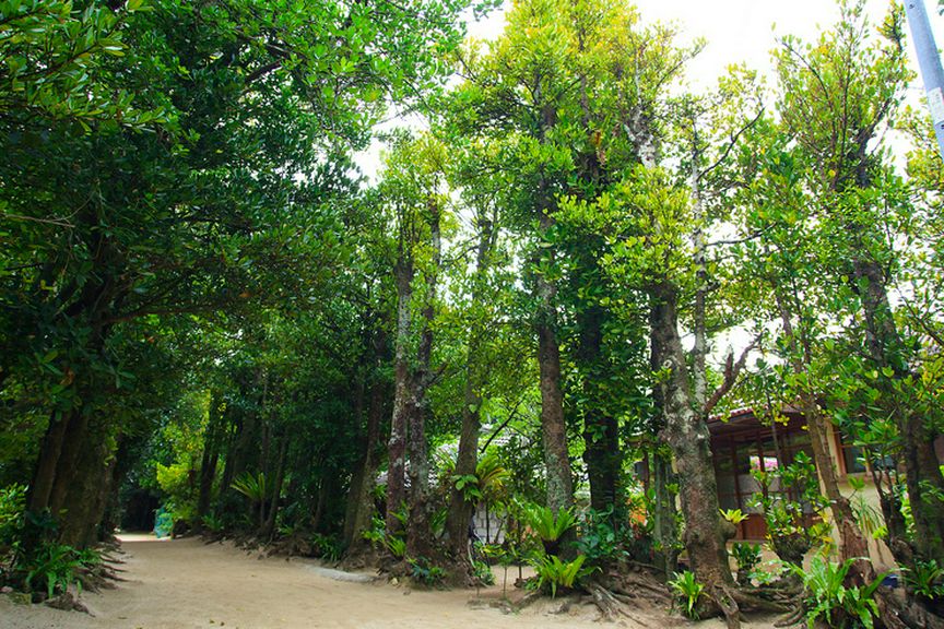Outside view