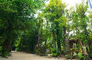 Outside view
