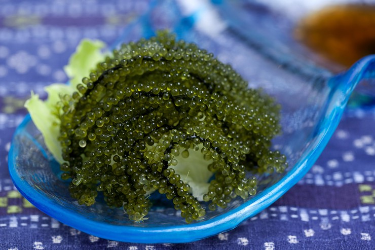 Cuisine