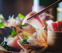  Sakana Baka Ichidai 5-Piece Sashimi Assortment - the best dish to start with. Packed with the pride and freshness this restaurant is known for 