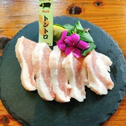 아구 돼지 / 통통