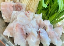 Hakata Hatanaka_"Specially Selected Fugu Kaiseki" using high-quality fugu from Amakusa, Kumamoto Prefecture