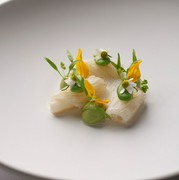  Velvet / Squid, Lemon Confit, Chamomile 