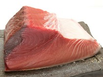 Teshigoto Zefu_"Bluefin tuna (coastal waters)" with a powerful and impressive flavor