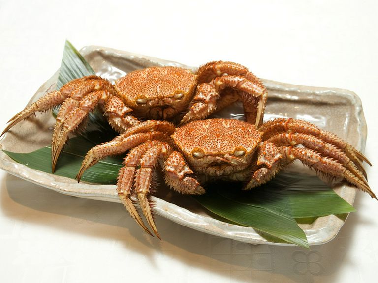 Cuisine