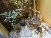 Outside view