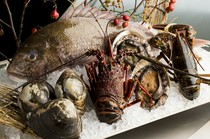 Teppanyaki Asagi_Extremely fresh seafood