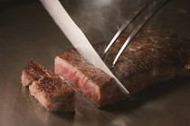 Teppanyaki Asagi_Menu details