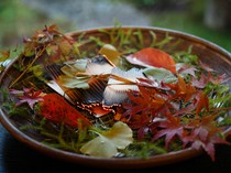 Seiwasou_Meat course - You can savor the luxurious harmony of aged Wagyu beef's umami and aroma.