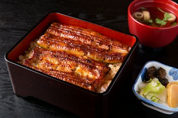 鳗鱼 藤田　白金台店