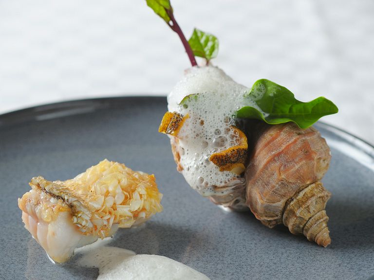 Cuisine