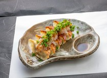 Japanese Restaurant Ryo_Miyazaki dumplings with grated green onion and ponzu sauce