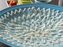 Kaisendokoro Sushi KAITO Mojiko Main Branch_Torafugu Sashimi (Large) - Served in a traditional chrysanthemum arrangement. This blowfish sashimi offers the true flavor of the fish.