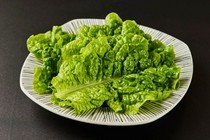   Nikusho Jade Kanazawa_Lettuce