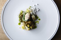 SAYS FARM_Confit of Japanese Sea Perch