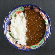  어수선한 검은 털 일본소 카레 
