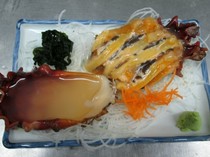 Hakodate Kaisen Izakaya Yan-shugyoba Nidaime Shoueimaru_Live sea squirt sashimi