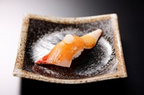  Yellowtail 