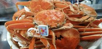 Ishiya_ Crab fishing season has begun. Kaneshiki-produced kobako crab: 4,950 yen Locally-produced snow crab: 44,000 yen