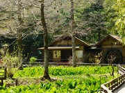 Outside view
