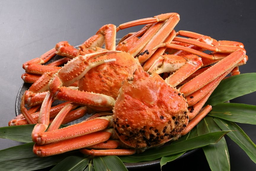 Cuisine
