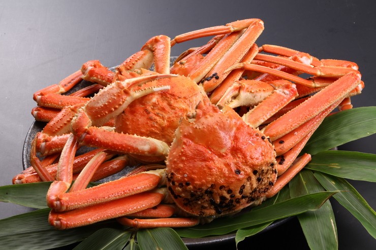 Cuisine
