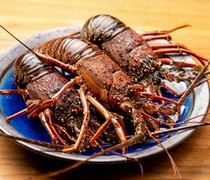  Grilled spiny lobster (reservation only) 