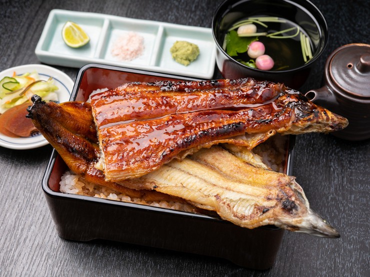  菜肴 