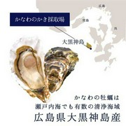  ■卡纳瓦水产所的生牡蛎 ※6月～11月为产卵季节，不供应 