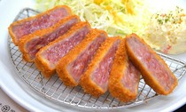 Wagyu Kurosawa Main Branch_Beef cutlet set meal (top)