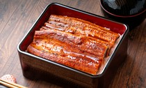  Grilled Eel Rice Bowl 