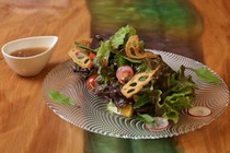 Irifune Odawara-ekimae Branch_Salad of 8 items made with local Odawara vegetables