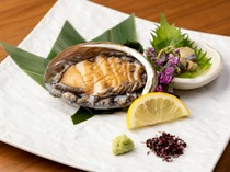  Live Abalone Sashimi from the Setouchi [Limited Quantity] 