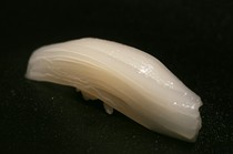 Sushi Koizumi_Red squid off the coast of Kanazawa