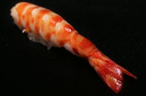 Sushi Koizumi_Noto Tiger Prawns