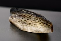 Sushi Koizumi_Kohada (Gizzard Shad) - It will be carefully prepared and superb sushi.