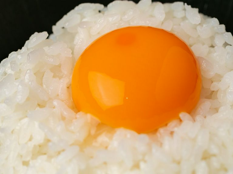 Cuisine