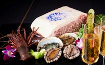 Teppanyaki Kobe_ Kobe - Kobe beef steak & live abalone and sauteed fresh fish of the day