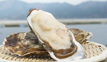 Yonpachi Gyojou Uchisaiwaicho Branch_Fresh oysters in season