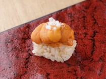  稻田特別課程 