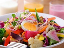 Kobayashi Chef ga Tegakeru Yoru no Vegistro Oimachi_Power salad with low-temperature cooked chicken breast